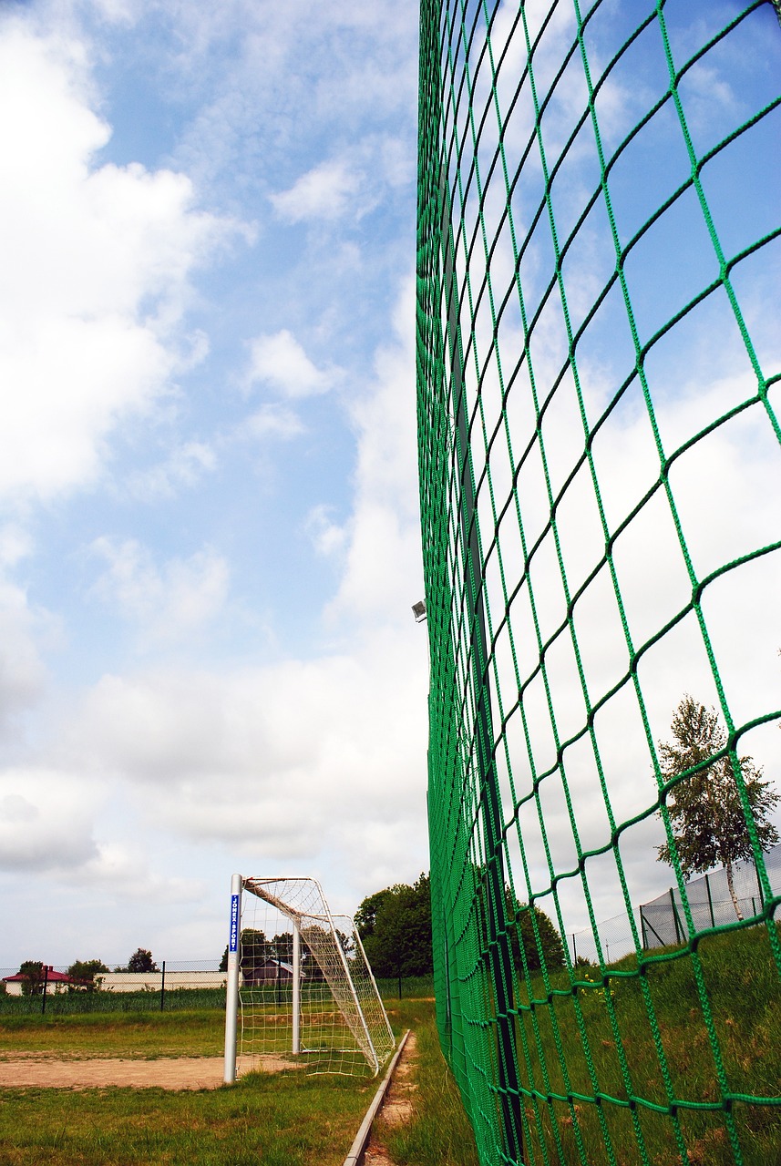 发展的球队 发展的球队