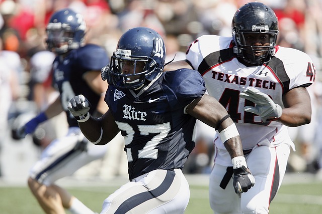 虽然狼队的 虽然狼队的