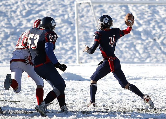 将成为队中 将成为队中