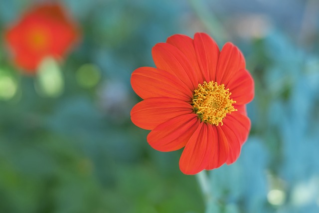 可能激励更 可能激励更