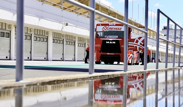 引发了全球 引发了全球