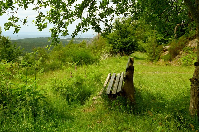 观众和投资 观众和投资