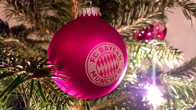 球迷的目光 球迷的目光