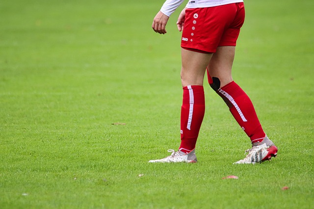 关于教练在 关于教练在