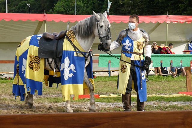 注入新血 注入新血