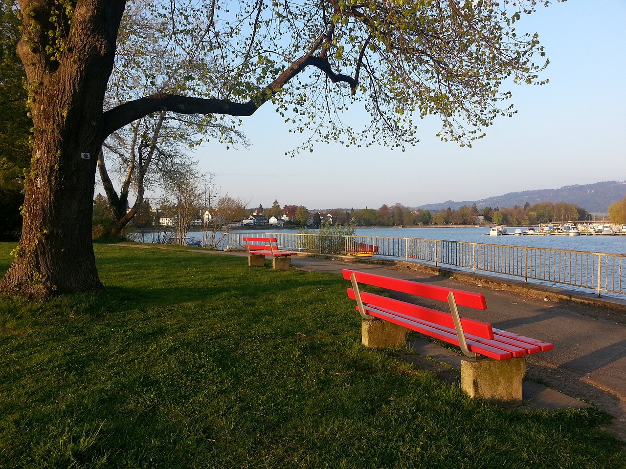 直接影响 直接影响