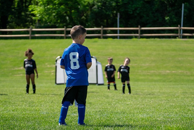 波切蒂诺面 波切蒂诺面
