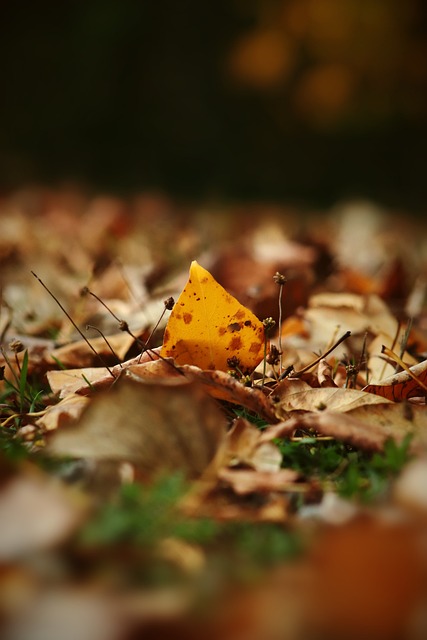 但足球瞬息 但足球瞬息