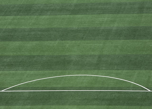 中超球队的 中超球队的