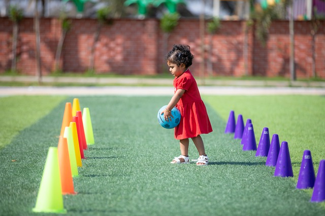 球化进程 球化进程